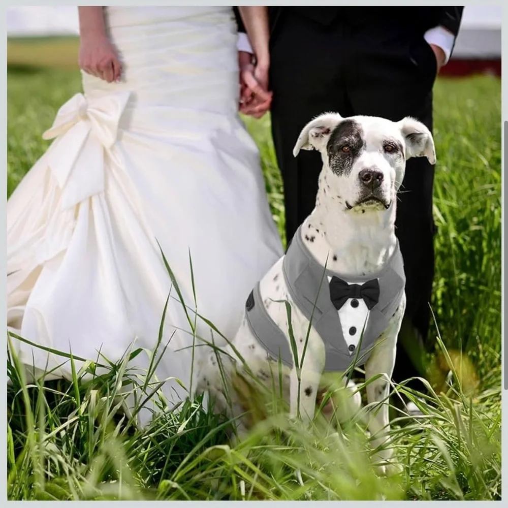 Gray Tuxedo Dog Harness. Adjustable and‎ No Pull.Wedding Suit or Costume